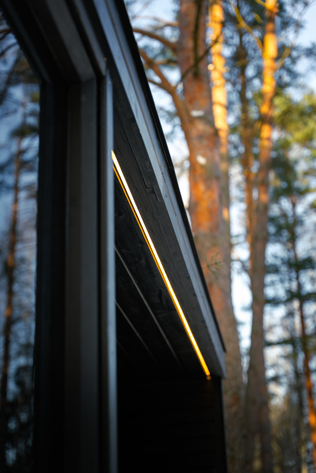 Quite modular sauna resting in a winter forest, designed for slow outdoor wellness